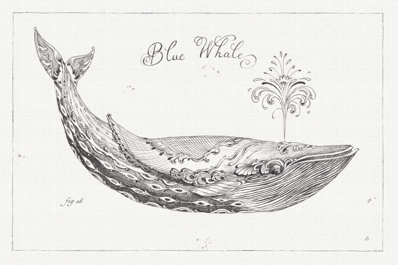 다프니 브리소네 - Underwater Life I