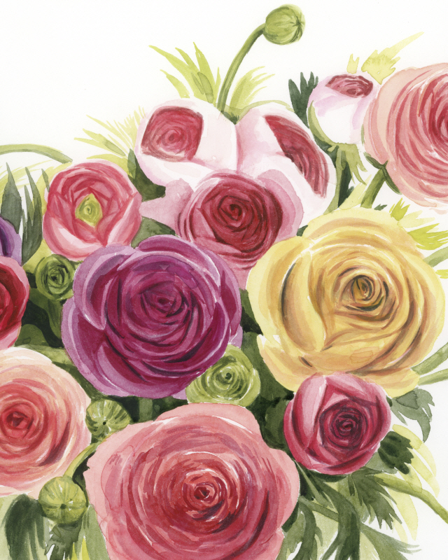 그레이스 포프 - Ranunculus Study II