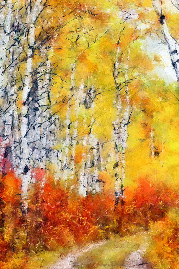 테일러 그린 - The Path