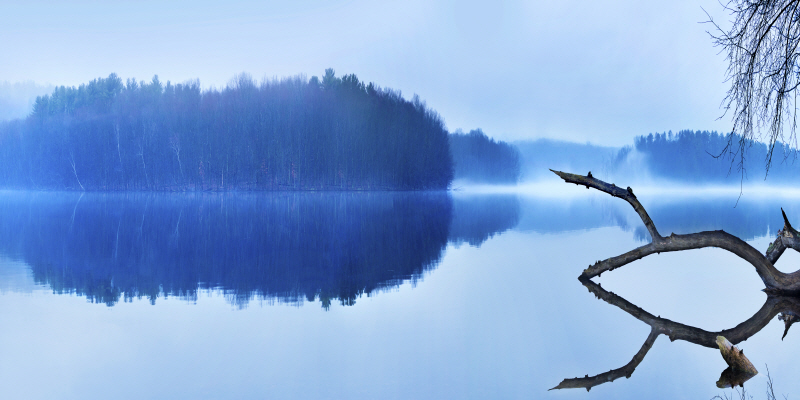 제임스 맥로핀 - Reflections