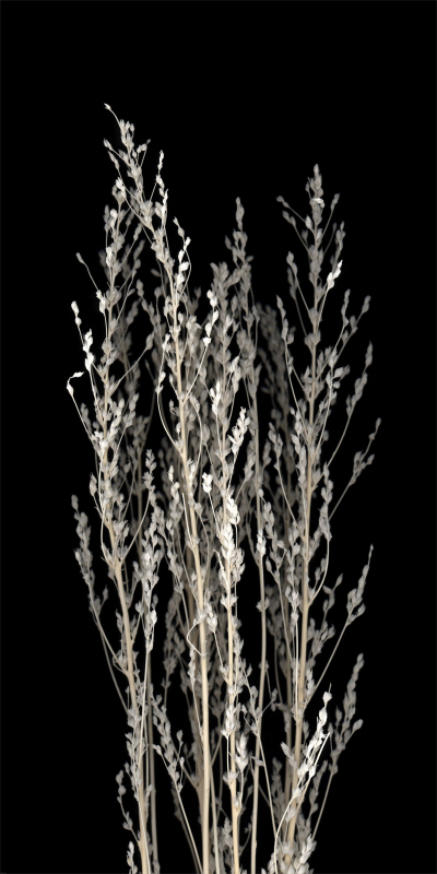 포토아이엔씨 스튜디오 - Dried Up