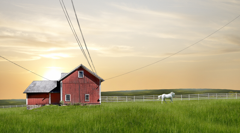 제임스 맥로핀 - Farm & Country IV