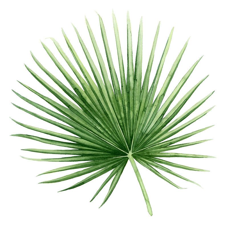 그레이스 포프 - Rainforest Jewel II