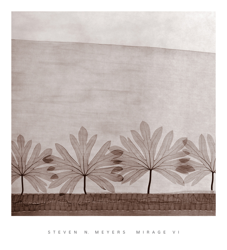 스티븐 메이어스 - Mirage VI