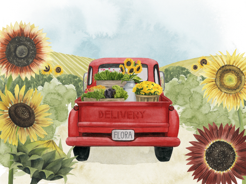 그레이스 포프 - Farm Flora Collection A