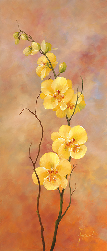 파사니 - Japanese Style II