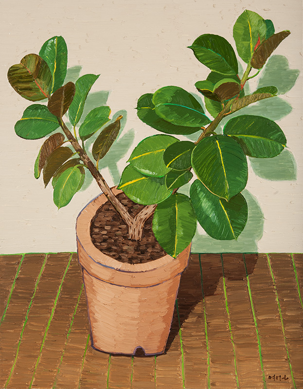 전영근 - 고무나무