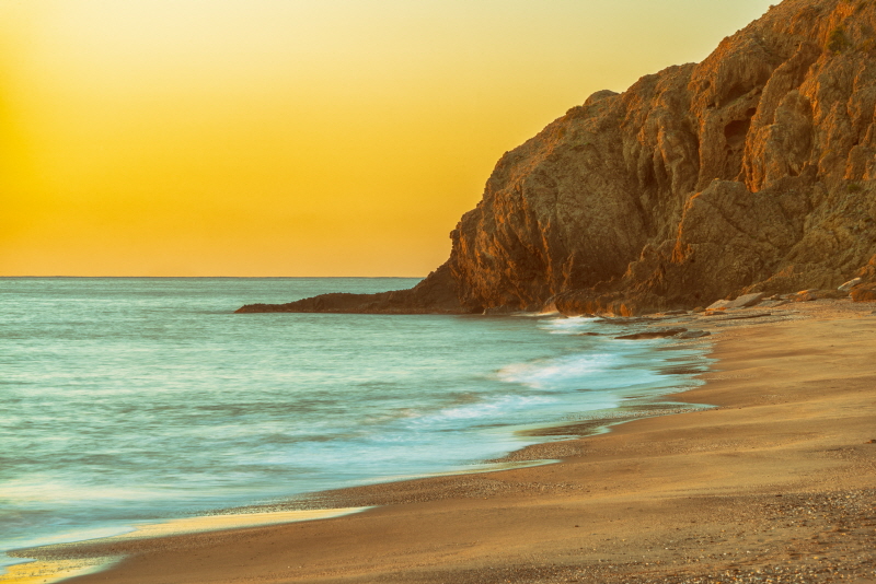 라스 바른 드 구르 - The Drinking Elephant