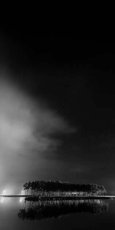 김현 - 나에게 다가온 소나무 시즌5.5 