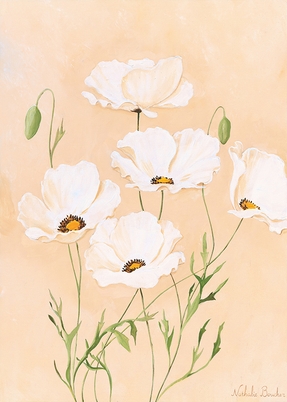 나탈리 바우처 - White Poppy II