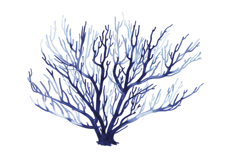 그레이스 포프 - Azure Fan I