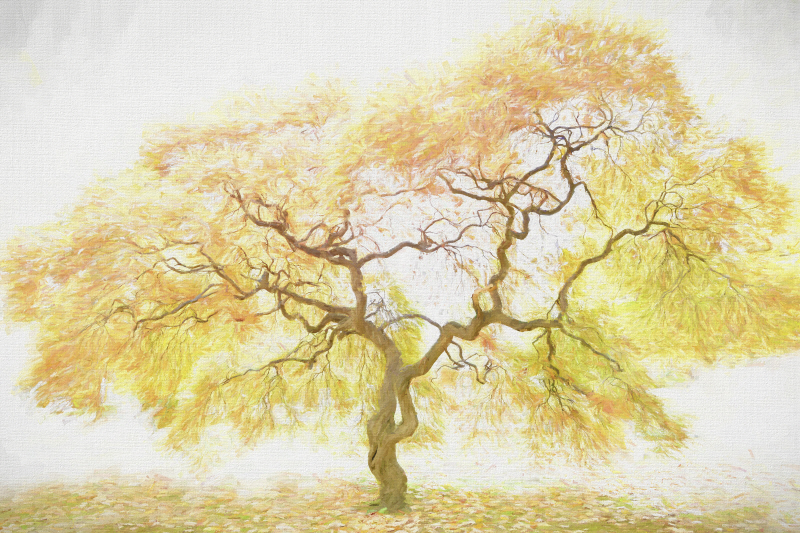 버쳇, P.H - Golden Tree