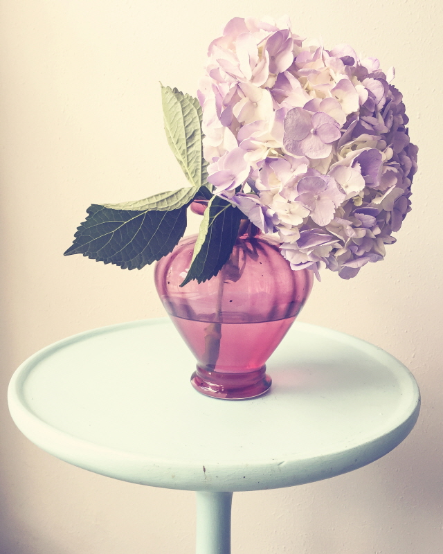 애슐리 데이비스 - Hydrangea Table