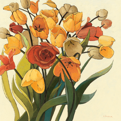 셜리 노박 - Comogli Colore