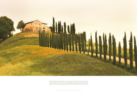 짐 체임벌린 - Tuscan Hills
