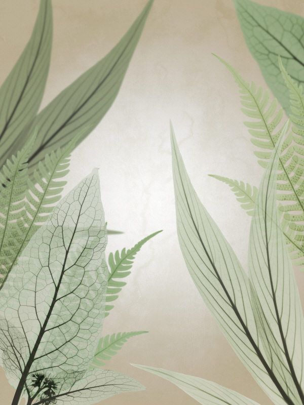 알버트 쿠치어 - Jungle Cruise