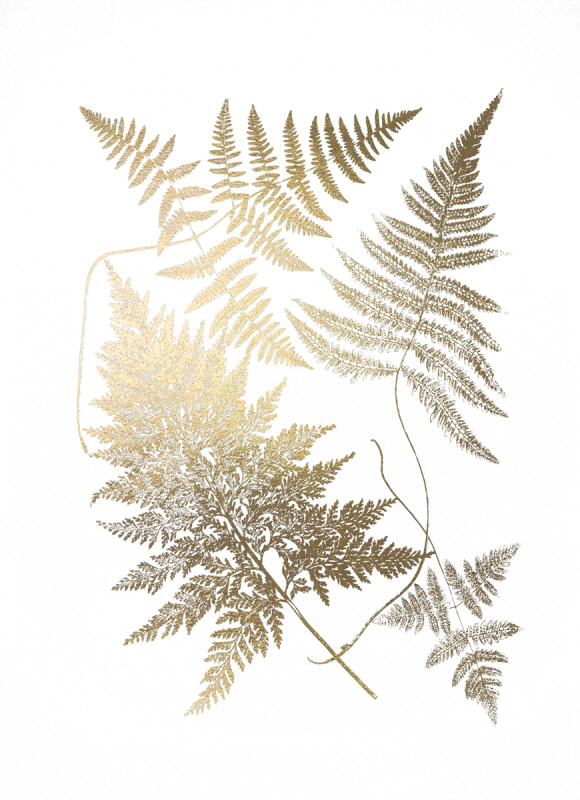 비젼 스튜디오 - Gold Foil Ferns III