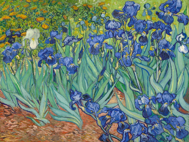 빈센트 반 고흐 - Irises, 1889