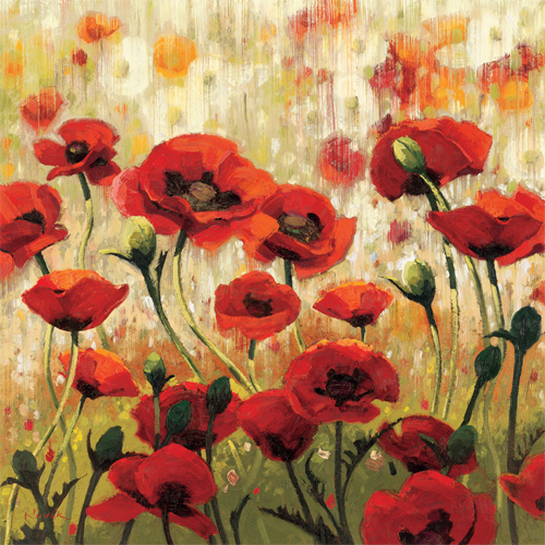 셜리 노박 - Sunny Spring Glee