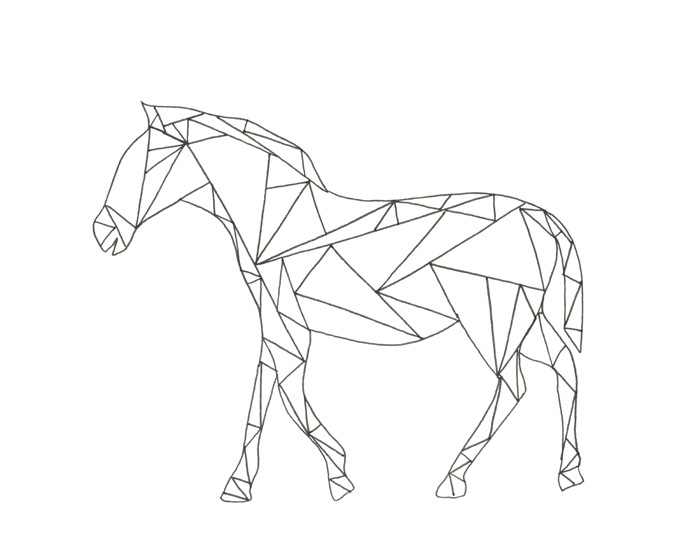 팸 바라체크 - Poly Horse