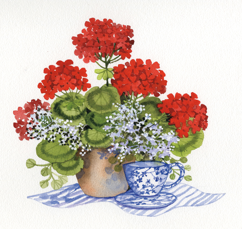 캐스린 파 멕케나 - Geranium Tea I