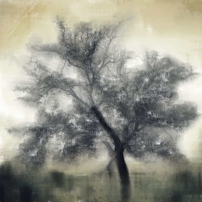 킴벌리 앨런 - Evening Shadows