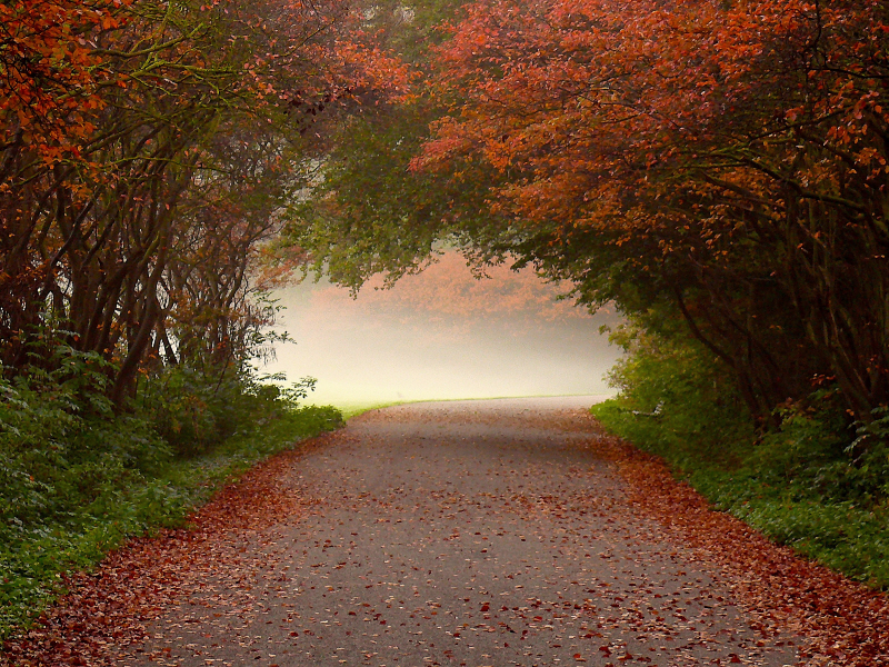 라스 바른 드 구르 - Arc de Triomphe