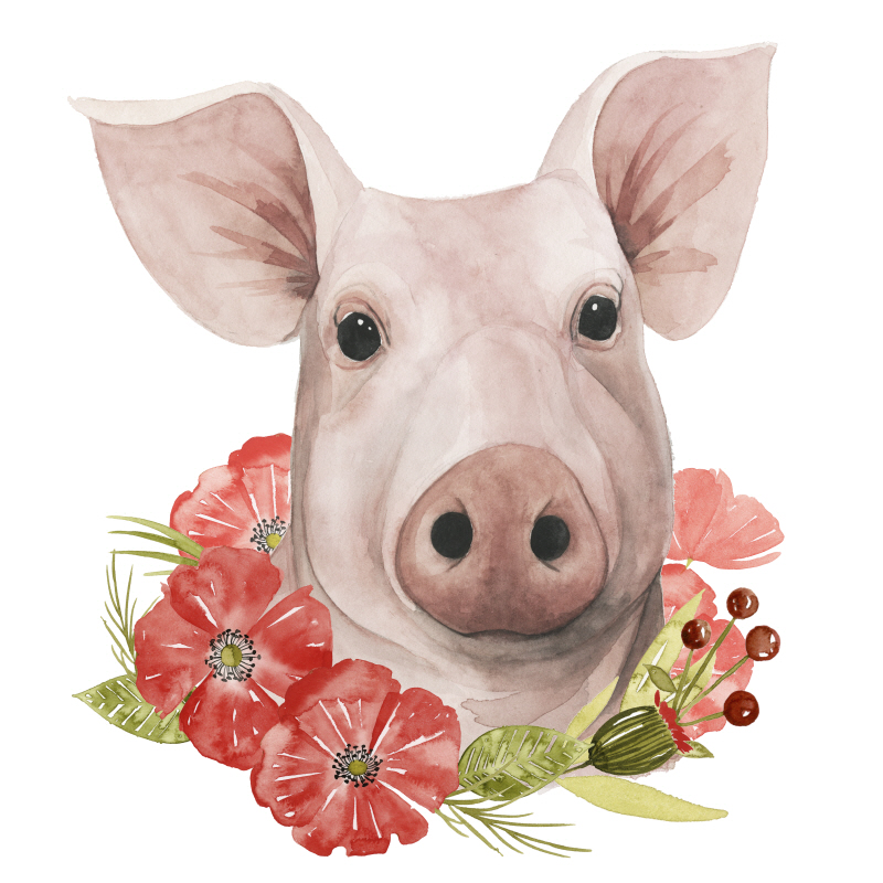 그레이스 포프 - Poppy Farm IV