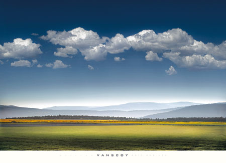 윌리암 반스코이 - Catch the Wind