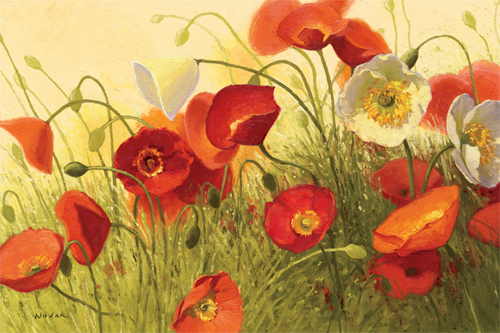 셜리 노박 - Having a Heat Wave