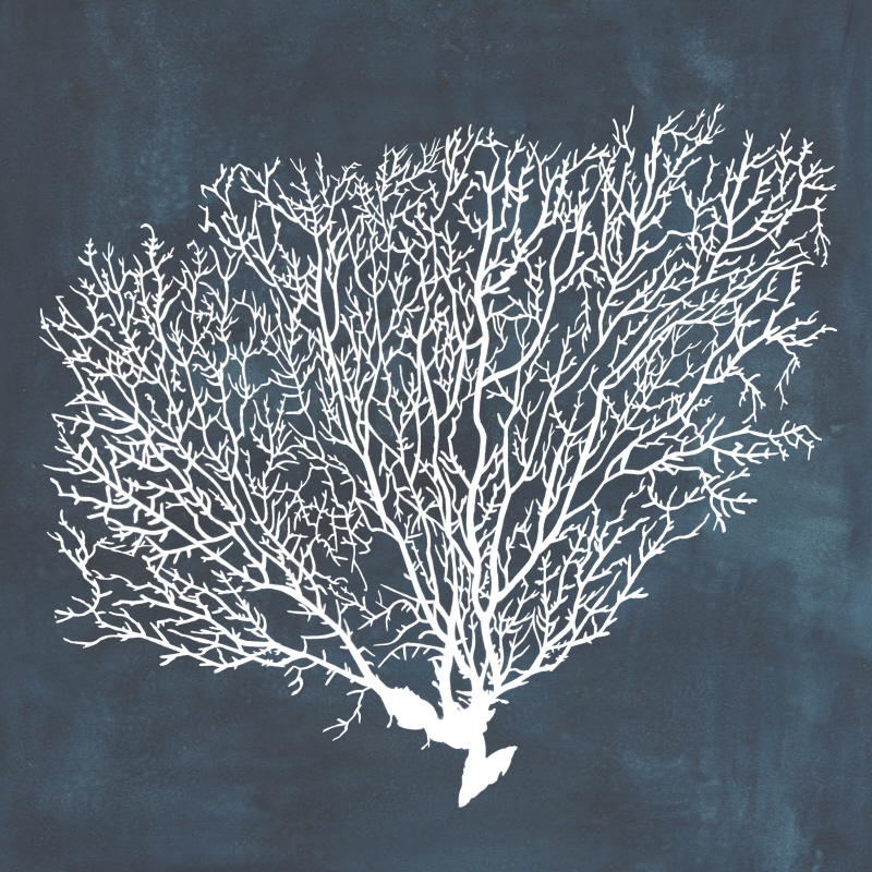 그레이스 포프 - Inverse Sea Fan II