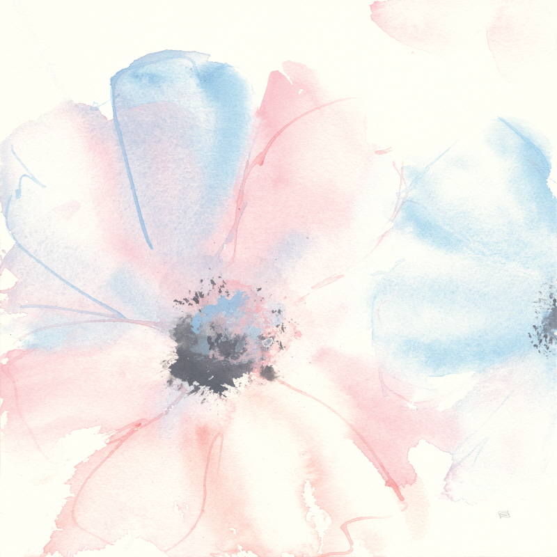 크리스 파쉬케 - Parfait Cosmos II