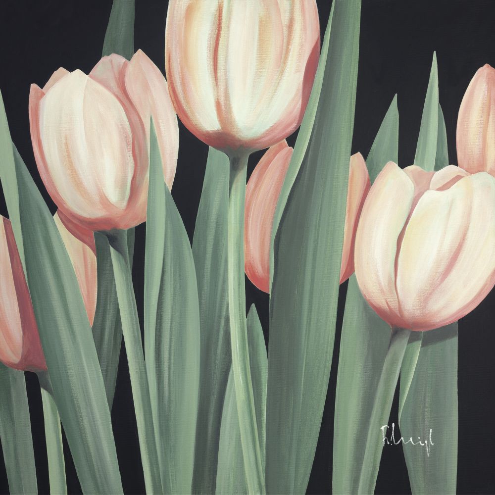 프란츠 헤이글 - Tulips Harmony I