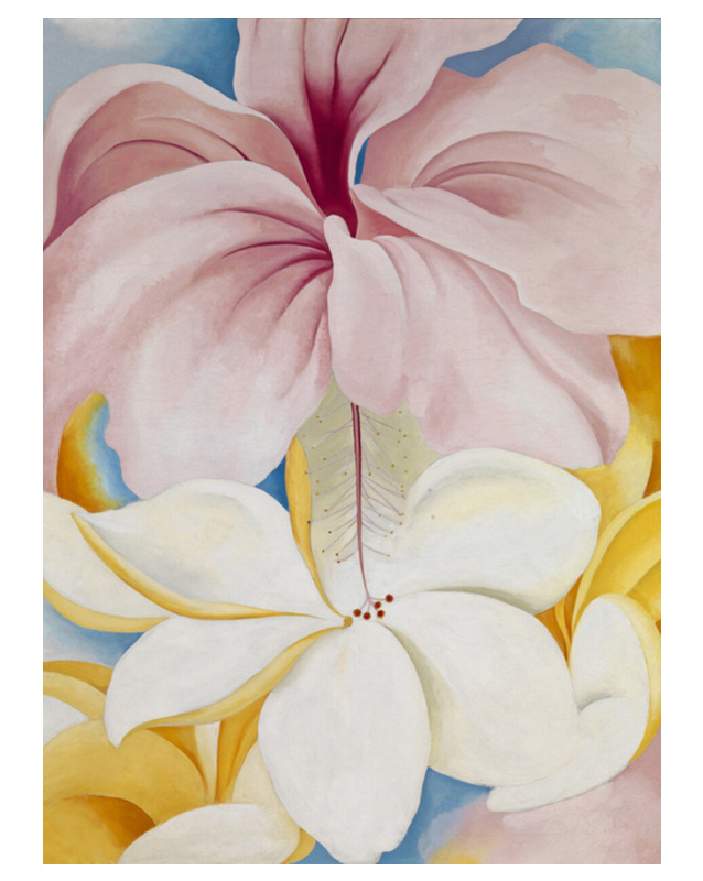 조지아 오키프 - Hibiscus With Plumeria
