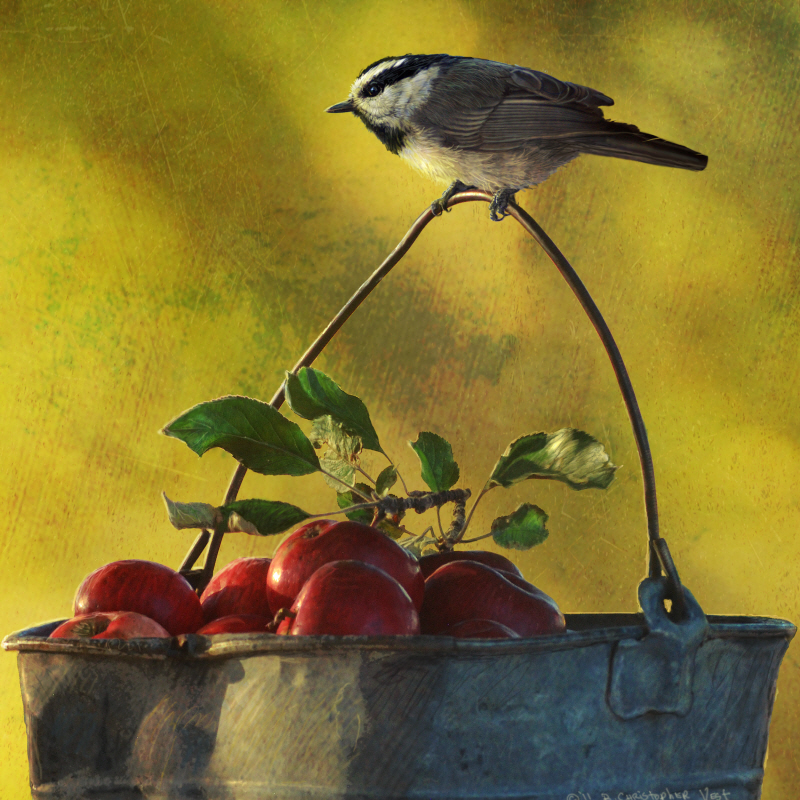 크리스 베스트 - Apples & Chickadee