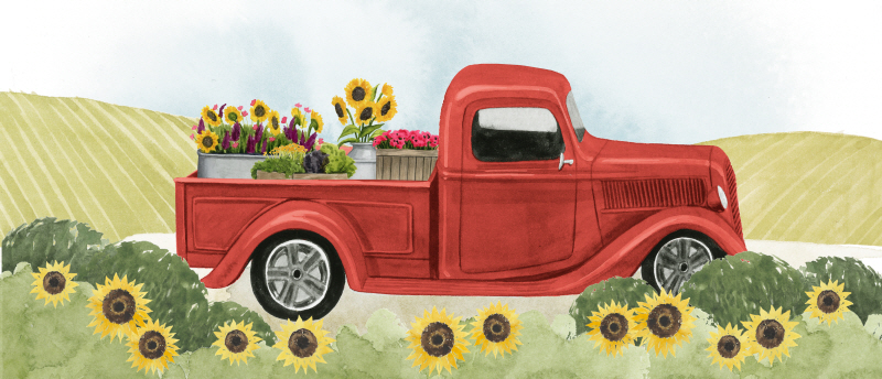 그레이스 포프 - Farm Flora Collection D