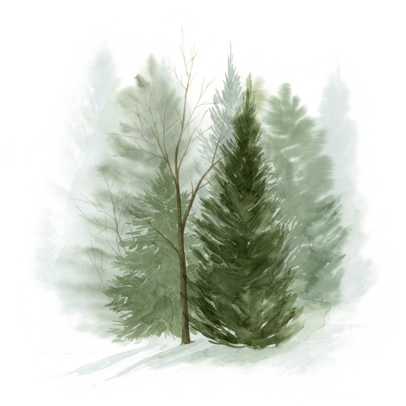 그레이스 포프 - Walk in the Woods I