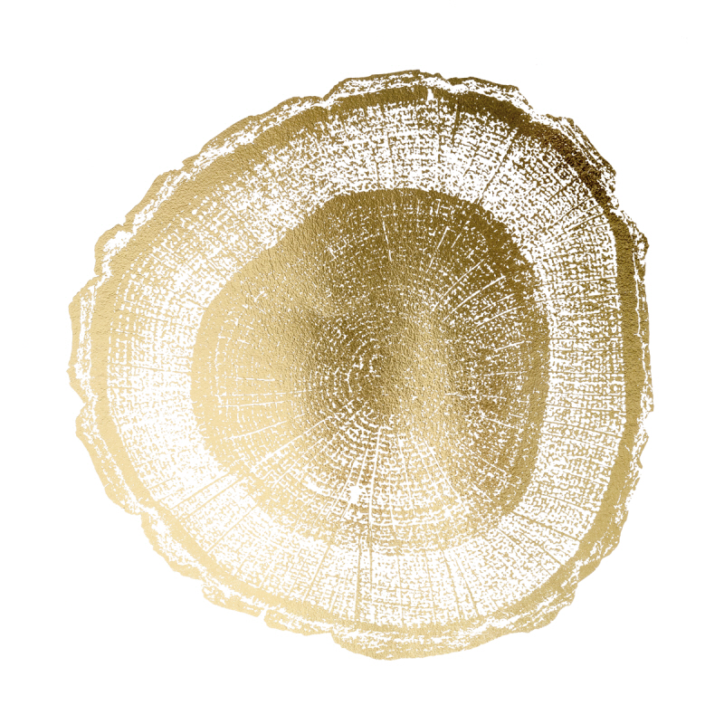 비젼 스튜디오 - Gold Foil Tree Ring I