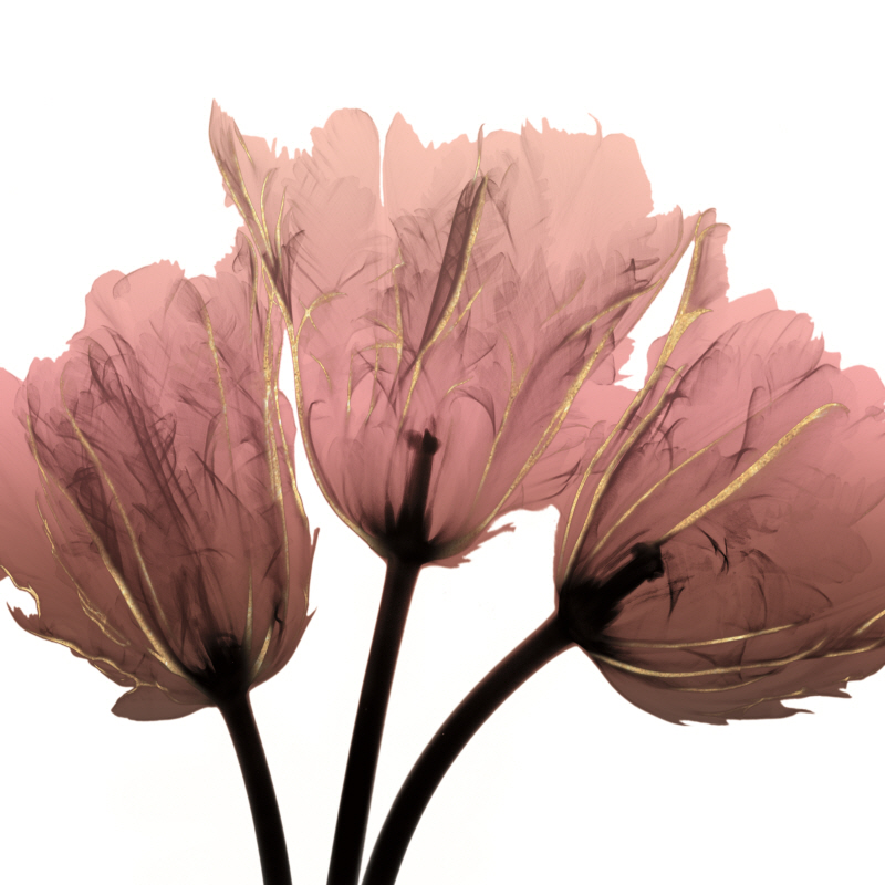 알버트 쿠치어 - Alizarin Splendor II