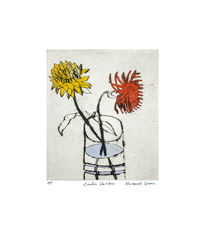 리차드 스페어 - Cactus Dahlias