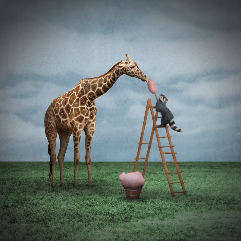 그렉 노블린 - Cotton Candy