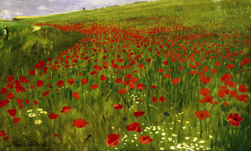 시네이 메르세 팔 - Meadow with Poppies