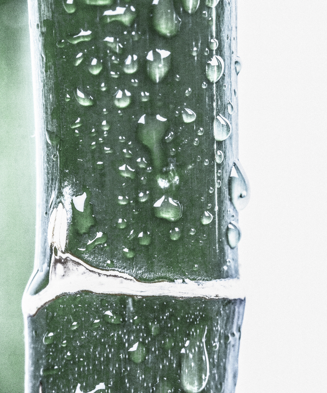 인카도 - Close up V