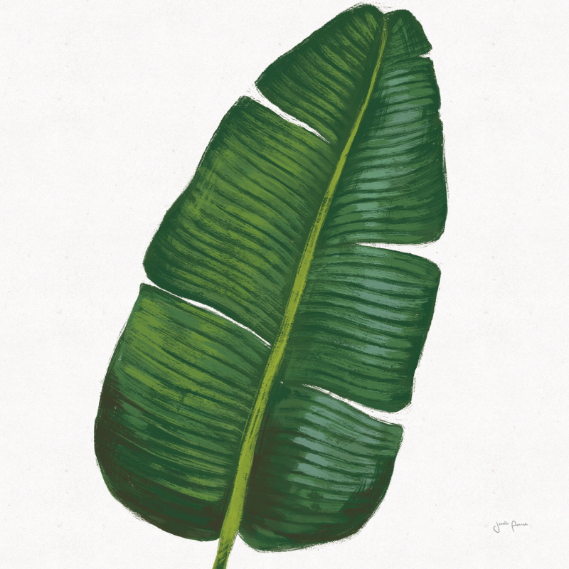 자넬 페너 - Welcome to Paradise XV on White