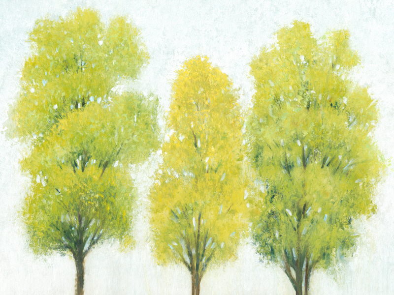 팀 오툴 - Spring Eternal II