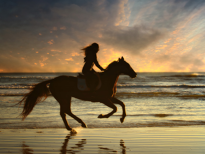 버쳇, P.H - Wave Runners V