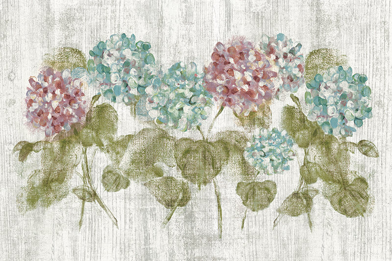 체리 블룸 - Vibrant Row of Hydrangea on Wood