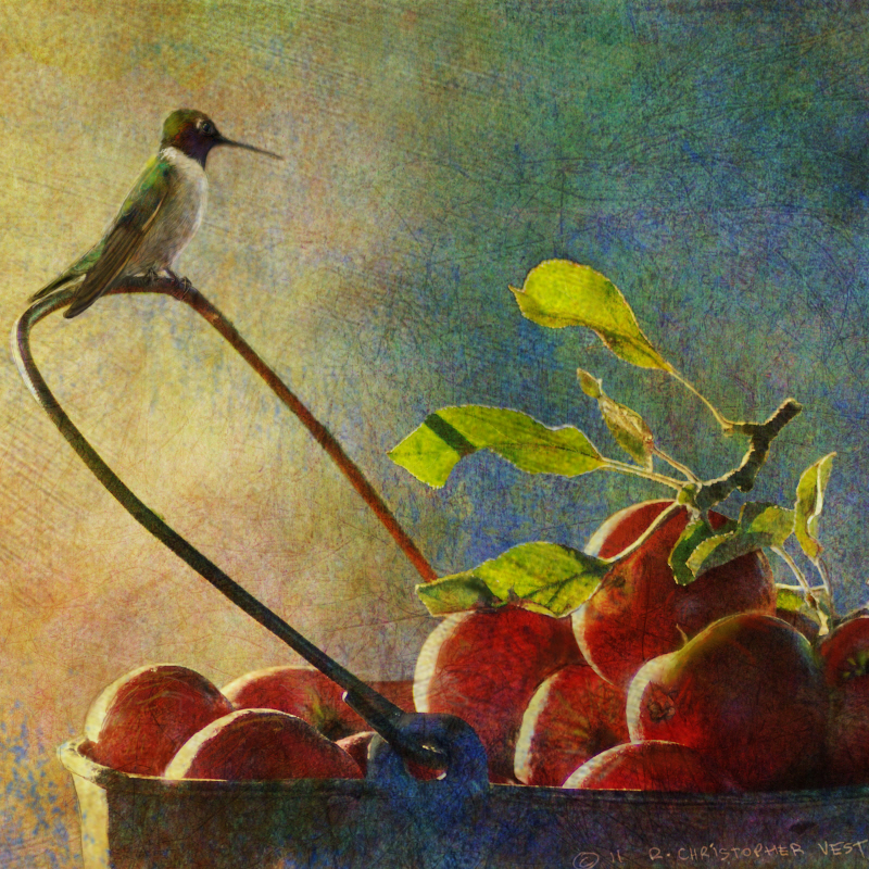 크리스 베스트 - Apples & Hummer