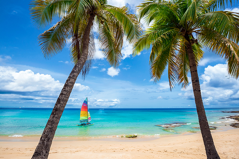 리지 데이비스 - Postcard From Paradise