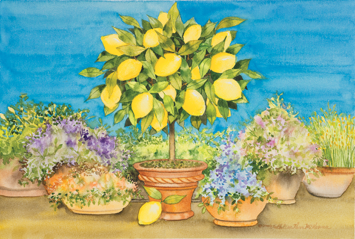 캐스린 파 멕케나 - Lemon Tree